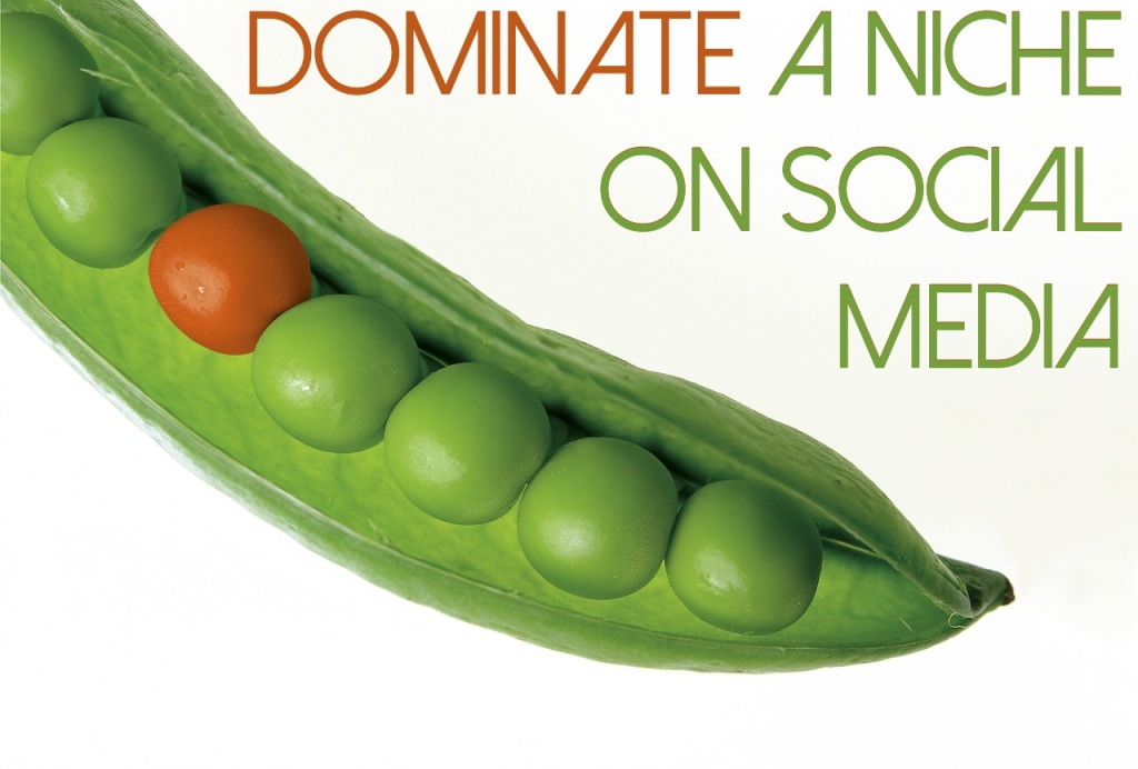 dominate a niche on social media peas in a pod branding differentiation
