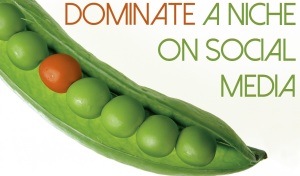 dominate a niche on social media peas in a pod branding differentiation